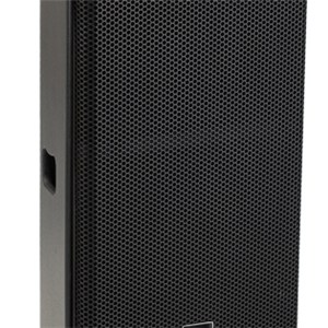 PS 15 Inch Stage Monitor Speaker 600W