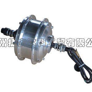 Brushless Rear Hub Motor