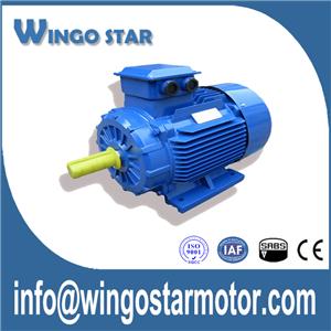 3 Phase Electric Motors