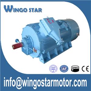 Explosion Proof Motor