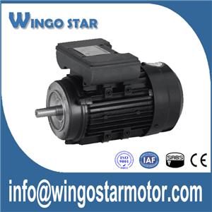 Ac Motor