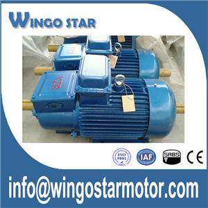 Industrial Motor