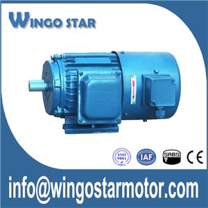 Induction Electric Motor