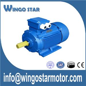 3 Phase Motor