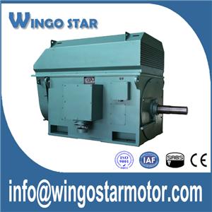 3 Phase Motors