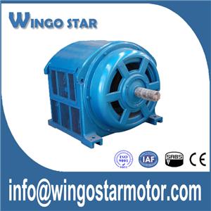 High Voltage Motor