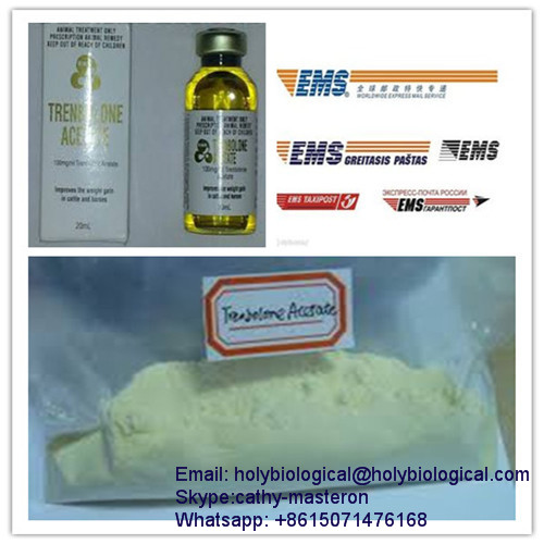 Trenbolone Acetate Trenbolone Acetate WhatsApp: +8615071476168 Bodybuilding Steroid Trenb Acetate