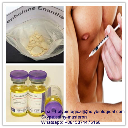 Trenbolone Enanthate Trenbolone Enanthate WhatsApp: +8615071476168 Trenb Enanthate Trenb Enanthate
