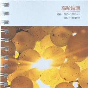 01 HIGH QUALITY PICTURE PRINTING PAPER