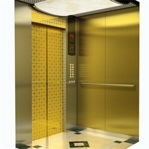 3,4,5 Persons Small Residential Lift Elevator