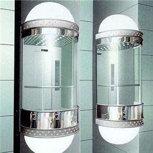 1000KG Glass And Mirror Etched Elevator