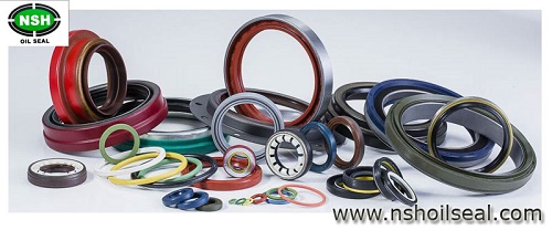 Lip Seals NSH Oil Seal