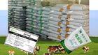Livestock Feed Additives Phytase Powder Enzymes For Poultry Feed Szym-PHY10P