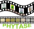10,000u/g Granular Phytase Enzyme Yellowish Animal Feed Enzymes Szym-PHY10G