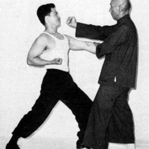 Wingchun Characteristics