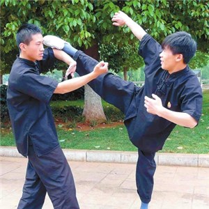 Wingchun Forms