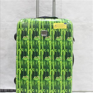 Printed Pc Luggage