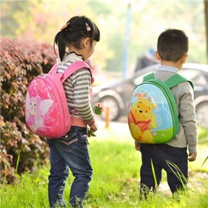 Kids Backpacks For School