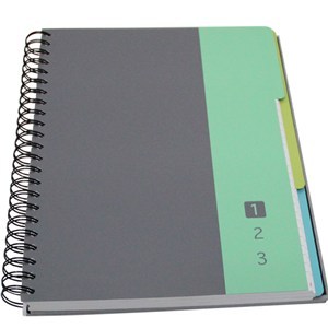 Sheet Dividers Subject Book