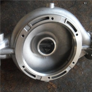 Stainless Steel Casting