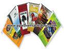 Multi-color Printed BOPP Laminated Bags Eco-friendly PP Woven Packaging Bags