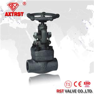 Forged Steel Globe Valve