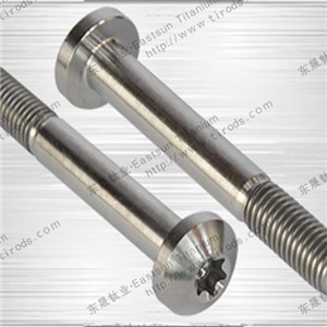 Titanium Pan Head Torx Screw