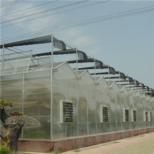 Whole PC Sheet Greenhouse