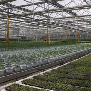 Nursery Greenhouse