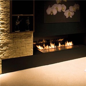 Ethanol Fireplace Inserts