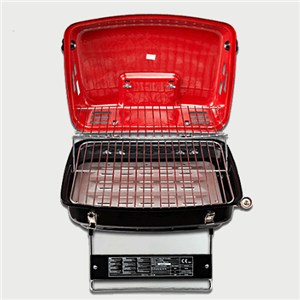 Portable Gas BBQ Grill