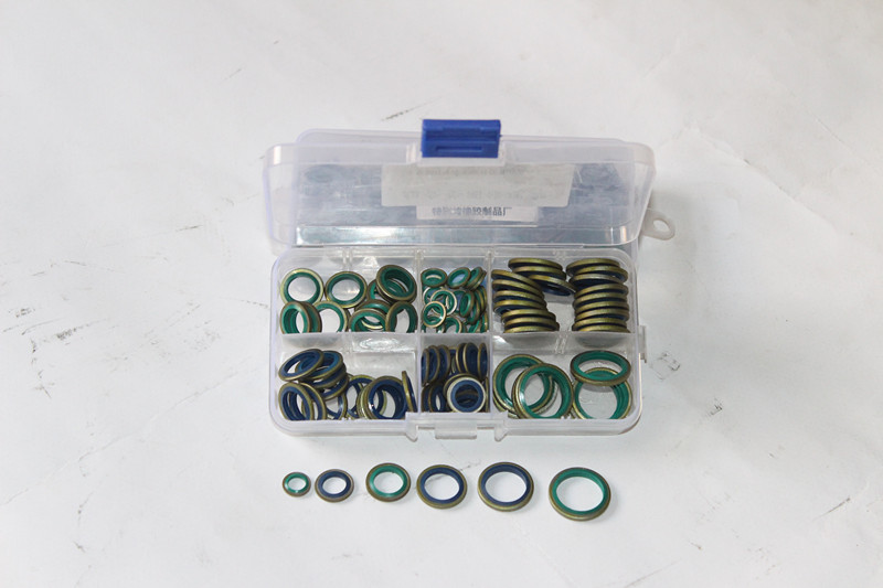 O ring kit