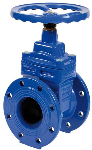 resilient gate valve