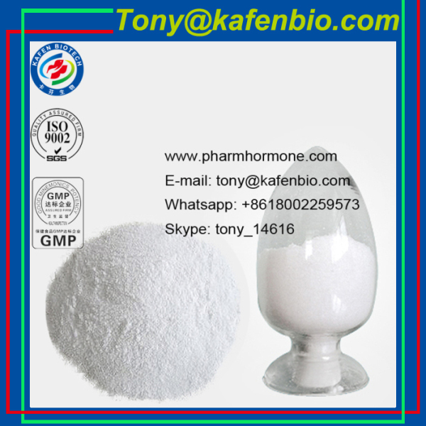 Test Prop Muscle Building Steroids Hormone Powder Testosterone Propionate