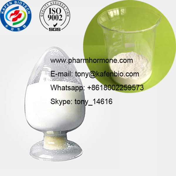 99% High Purity Testosterone Steroid Hormone Raw Methyltestosterone Powder CAS 58-18-4