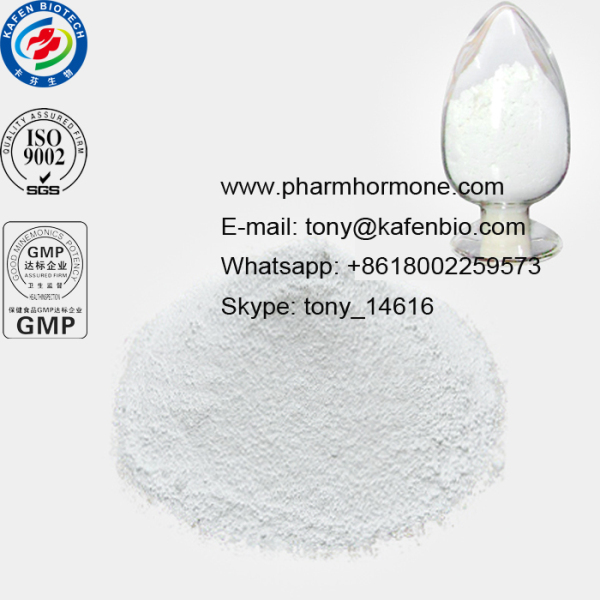 99% Anabolic Steroid Powder 17-Alpha-Methyltestosterone for Muscle Latitude