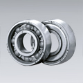 Hybrid Bearings