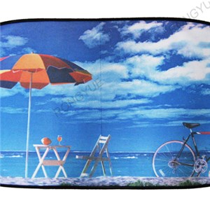 Nylon Mesh Rear Sun Shade