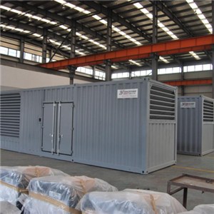 50HZ MAN Container Type Diesel Generator