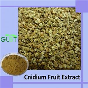 Cnidium Seed Extract