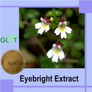 Eyebright Extract