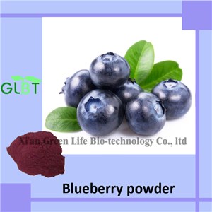 Blueberry Powder