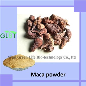 Maca Powder