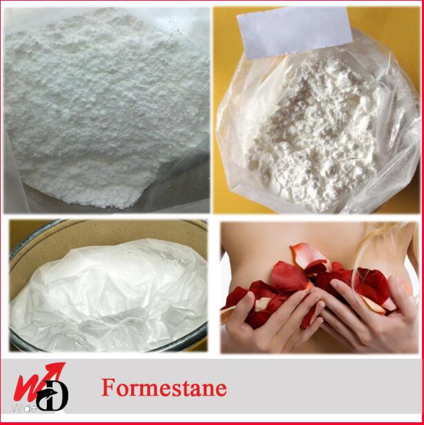 Anti Estrogen Steroids Formestane 566-48-3 Aromatizing for Breast Cancer 