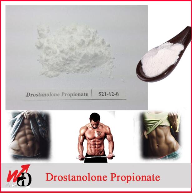 Anabolic Steroids Powder Drostanolone Propionate CAS No. 521-12-0 