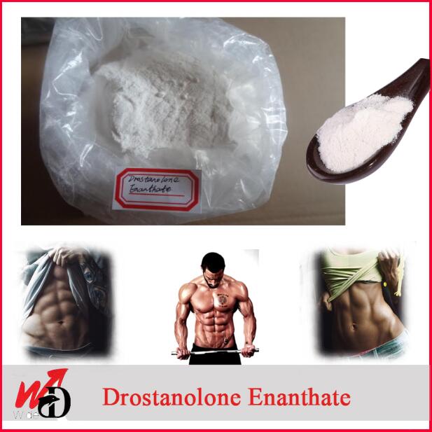 99% Purity Muscle Buidling Steroid Powder Masterone Drostanolone Enanthate