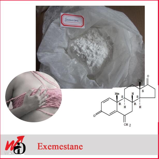 Female Steroids Exemestane Aromasin Aromatase Inhibitor Anabolic Steroids 