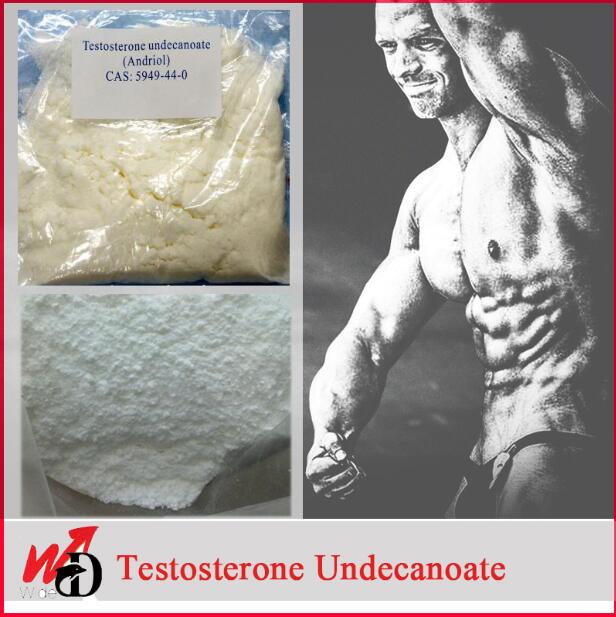 Bodybuilder Powder Testosterone Undecanoate for Strength / Test U CAS 5949-44-0 