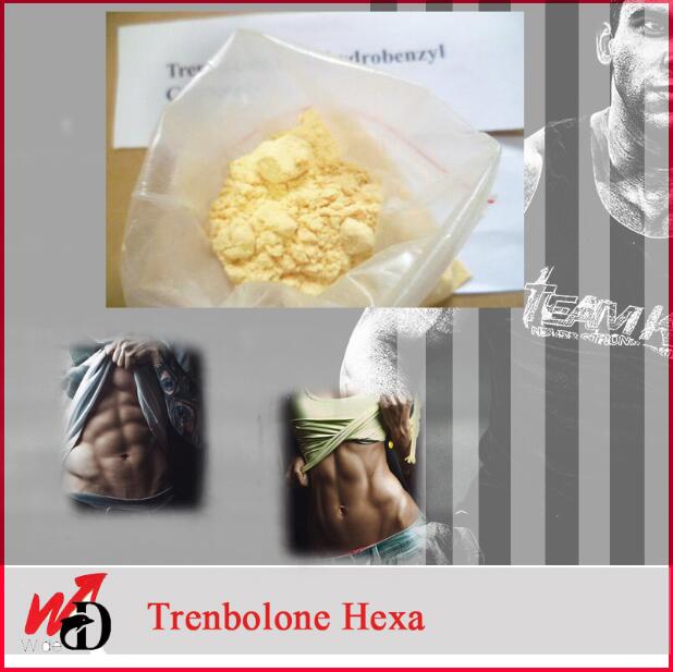 Trenbolone Hexahydrobenzylcarbonate [Parabolan] (CAS 23454-33-3)
