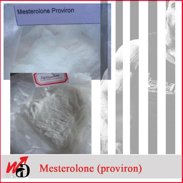 Postponing Senility Anabolic Steroid Powder Mesterolone Proviron 